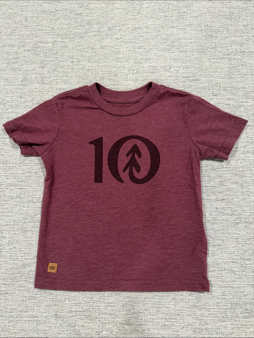 Kids' Short Sleeve Tentree Tee in Burgundy with Logo